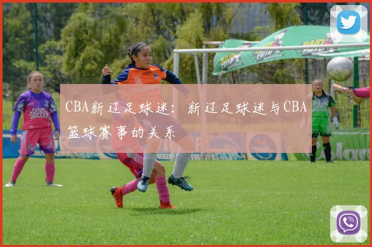 CBA新辽足球迷：新辽足球迷与CBA篮球赛事的关系