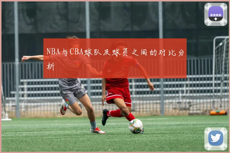 NBA与CBA球队及球员之间的对比分析