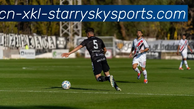 星空体育平台生态图